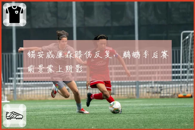 锡安威廉森膝伤反复,鹈鹕季后赛前景蒙上阴影