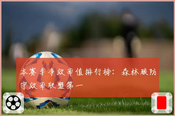 本赛季净效率值排行榜：森林狼防守效率联盟第一