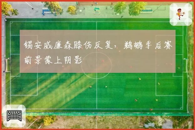锡安威廉森膝伤反复,鹈鹕季后赛前景蒙上阴影