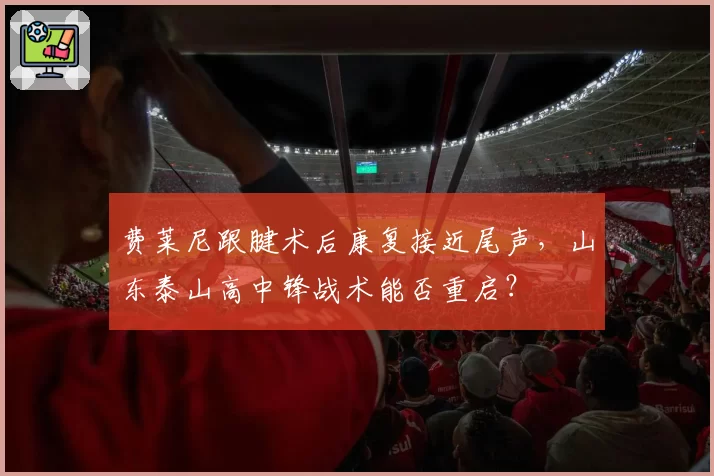 费莱尼跟腱术后康复接近尾声,山东泰山高中锋战术能否重启?