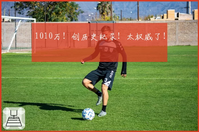 1010万!创历史纪录!太权威了!